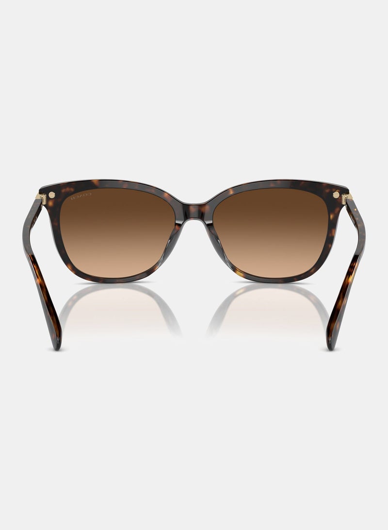 كوتش نظارة شمسية بإطار كامل على شكل عين القطة 8378U 512074 - Image 3